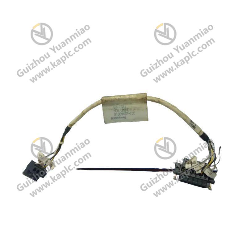 HONEYWELL 51304465-100 Cable