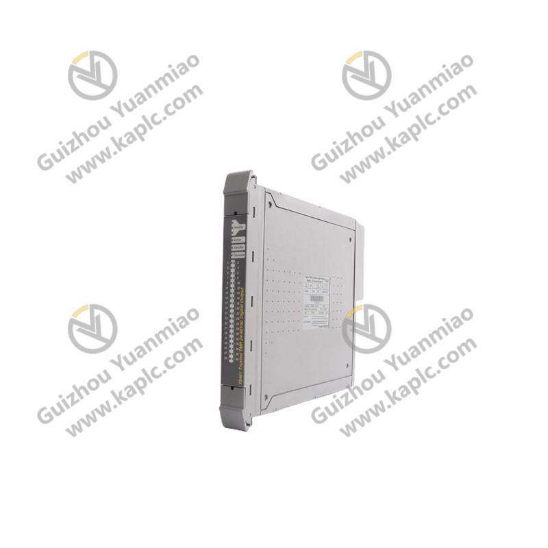 ICS TRIPLEX T8310 EXPANDER INTERFACE