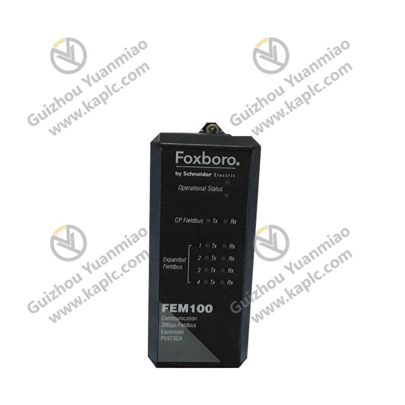 Foxboro FEM100 P0973CA Fieldbus Expansion Module