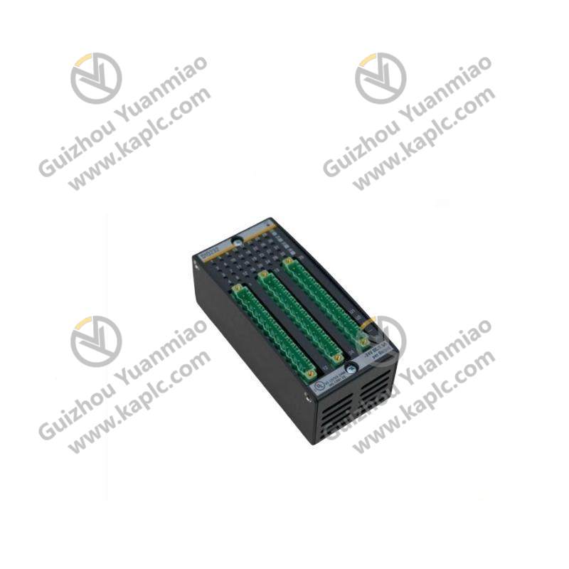 BACHMANN DI0232 Digital Input/Output Module