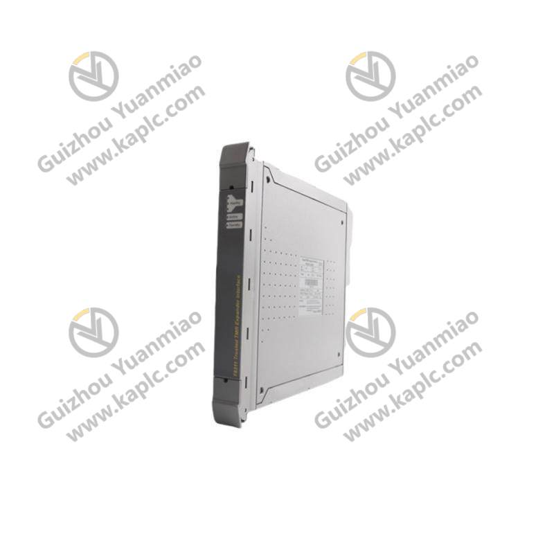 ICS TRIPLEX T8311C Expander Interface