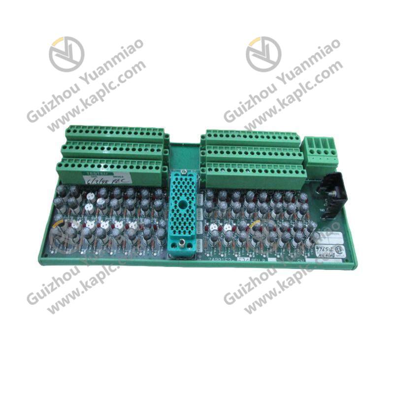 Triconex 9760-210 ANALOG INPUT MODULE